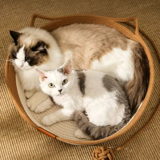 Interactive Cotton Rope Boho Cat Bed