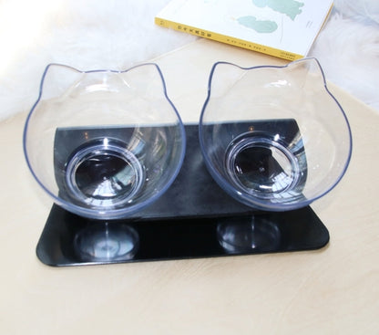 Elevated Double Cat Bowl with 15° Tilt