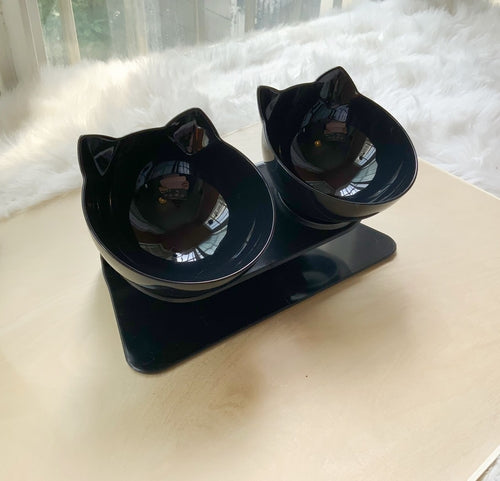 Elevated Double Cat Bowl with 15° Tilt
