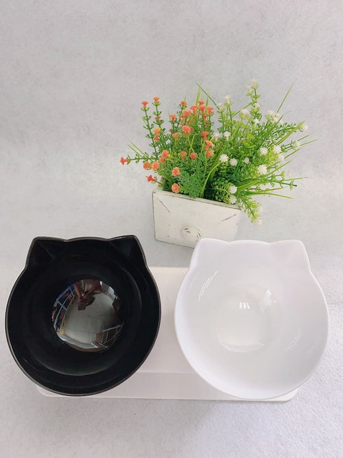 Elevated Double Cat Bowl with 15° Tilt