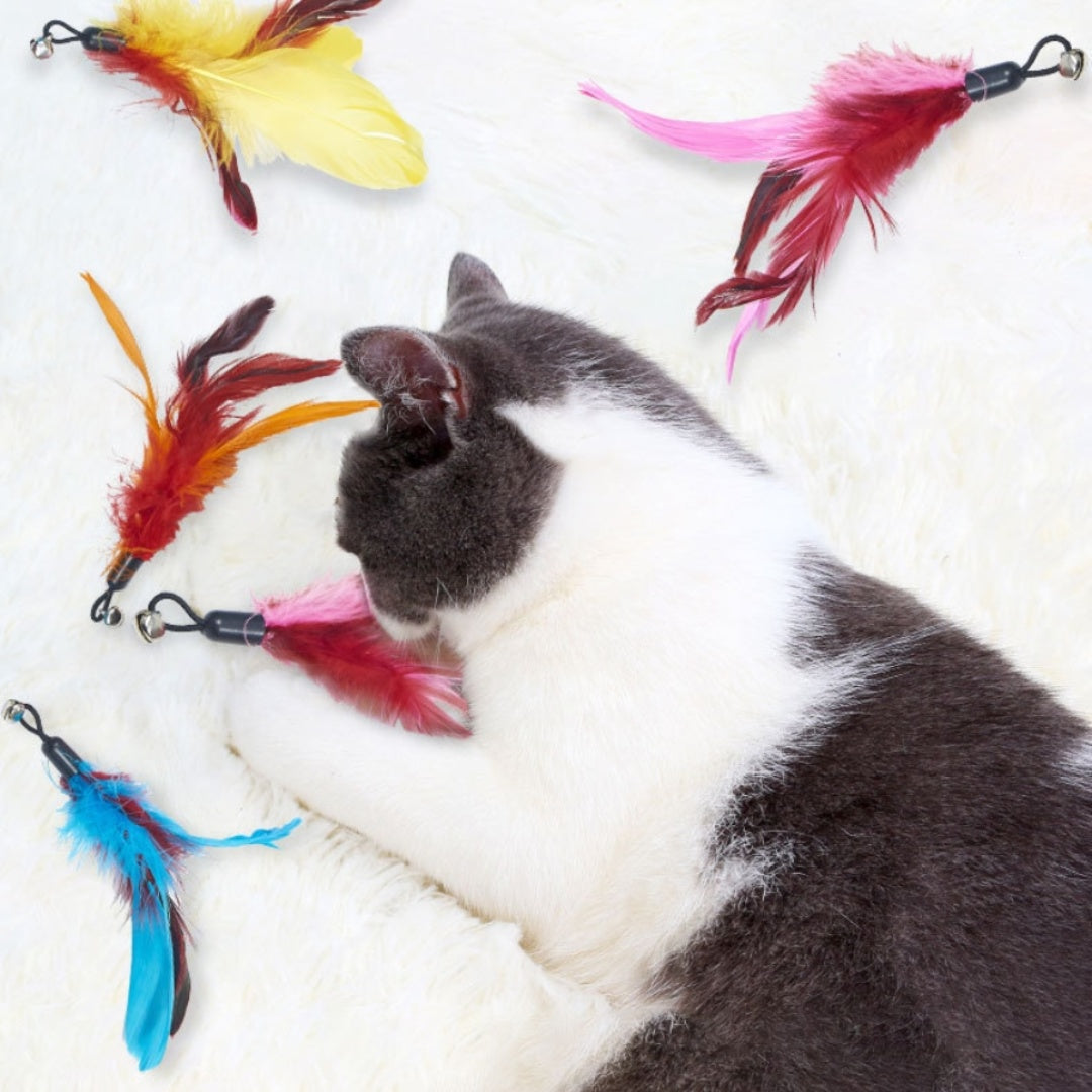 Interactive Retractable Cat Wand Toy with Feather Refills