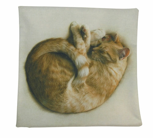 Cozy Sleeping Cat Throw Pillow