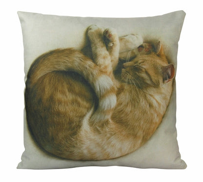Cozy Sleeping Cat Throw Pillow