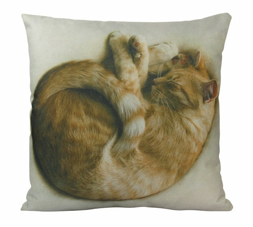 Cozy Sleeping Cat Throw Pillow